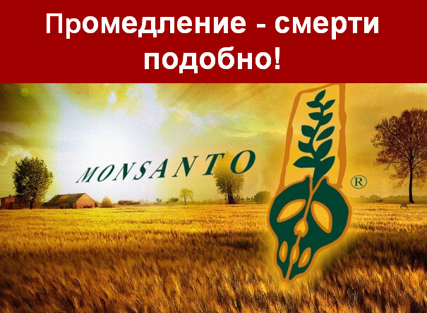 Транснациональная корпорация (ТНК) МОНСАНТО