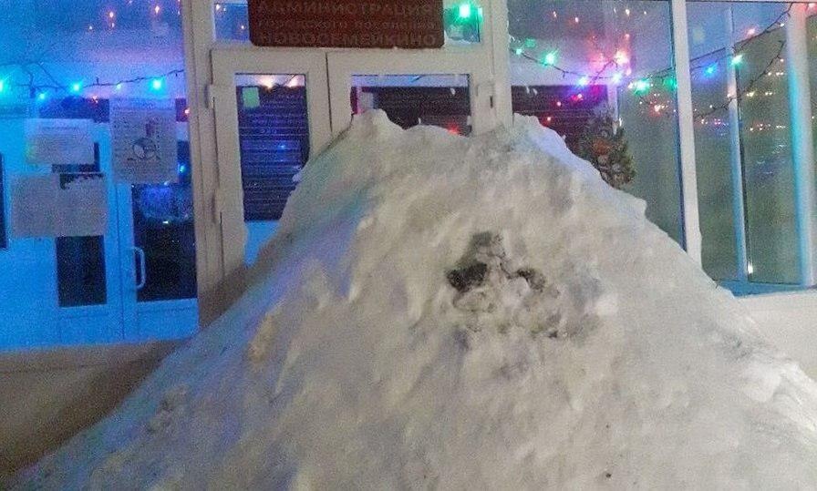Жители Новосемейкино наказали местные власти